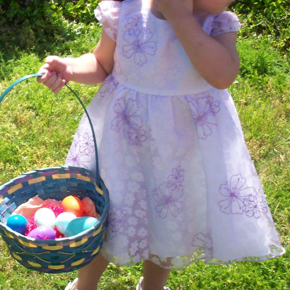 GEGRGE - Girl's Purple Floral Dress (3T)